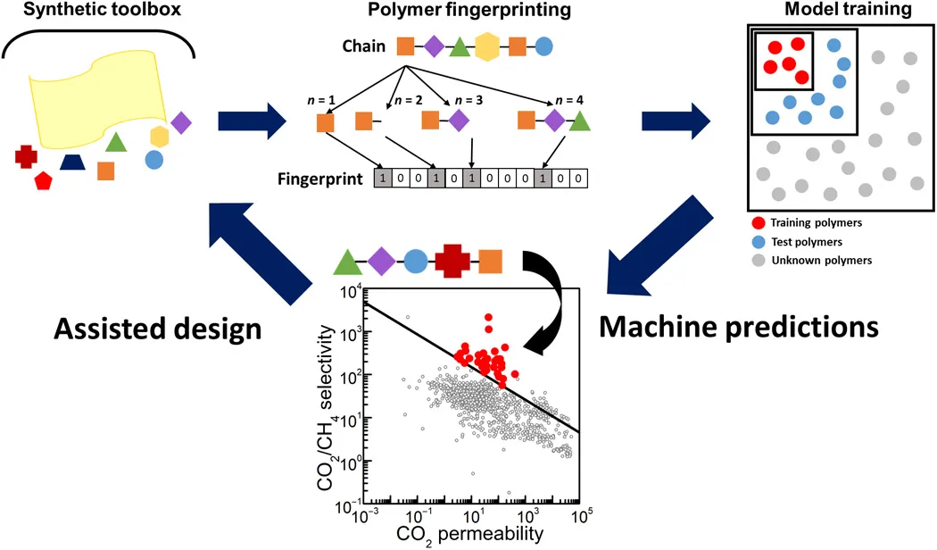 machine Learning for polymer physics