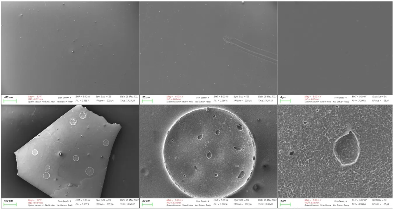 nanoplastics